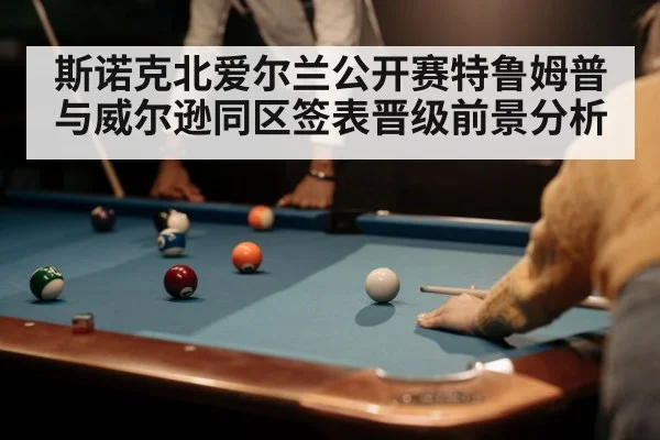 snooker player cue